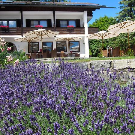 Seehof Apartments Walchensee Buitenkant foto